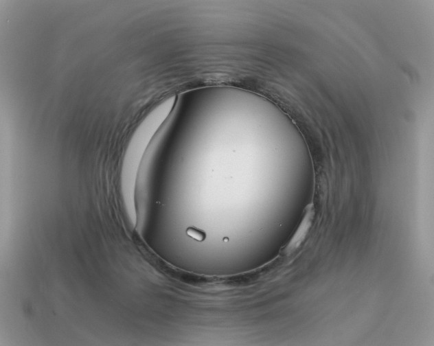 X0000115040219200911091411
