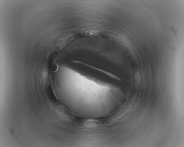 X0000115040222200911091411