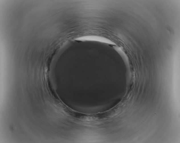 X0000115040223200911091411