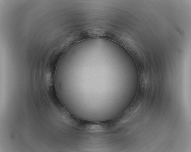 X0000115040224200911091411