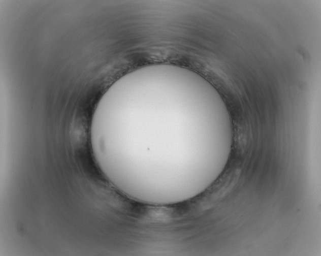 X0000115040226200911091411