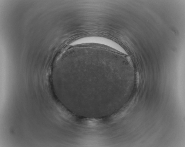 X0000115040229200911091411