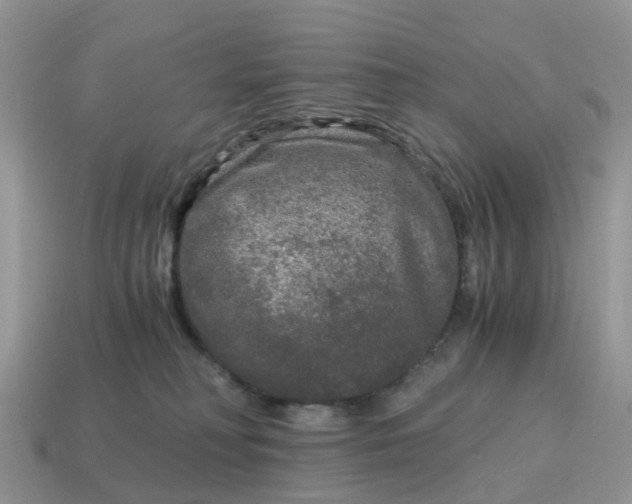 X0000115040230200911091411