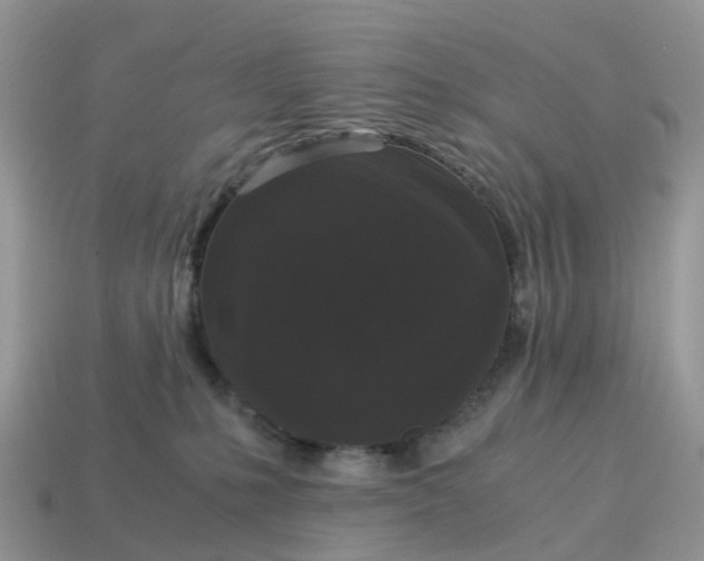 X0000115040231200911091411
