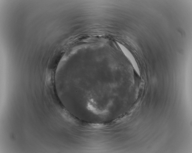 X0000115040233200911091411