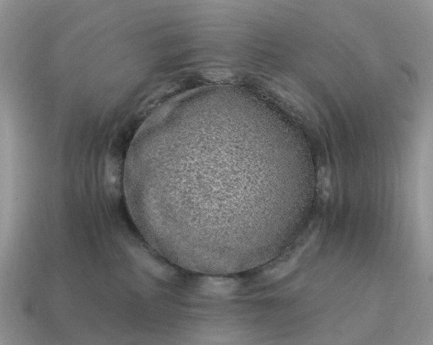 X0000115040234200911091411