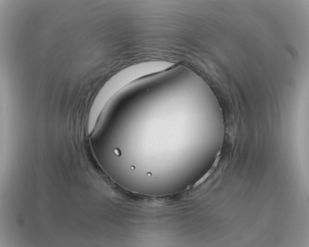 X0000115040235200911091411