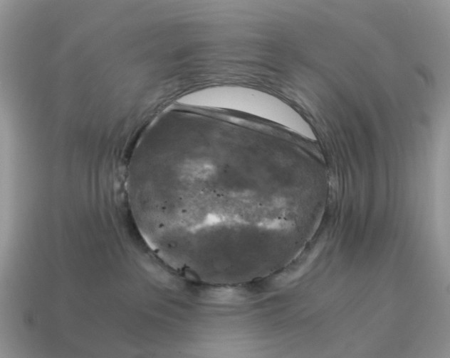 X0000115040237200911091411