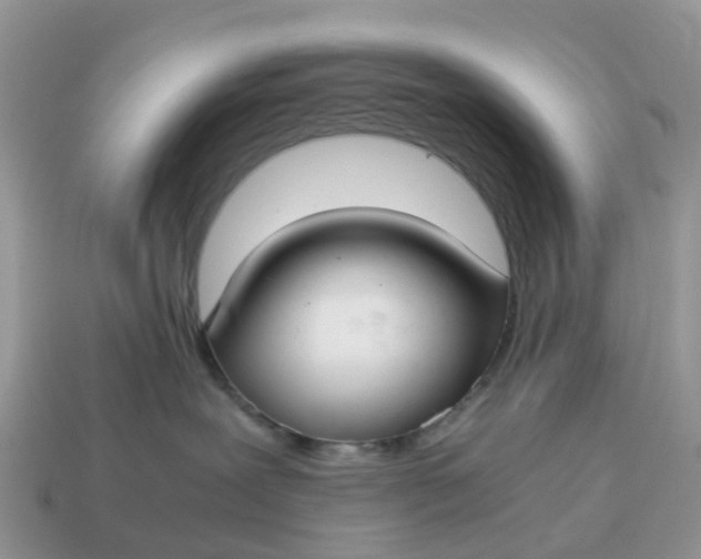 X0000115040239200911091411