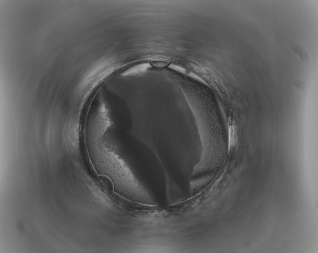 X0000115040243200911091411