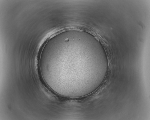 X0000115040244200911091411