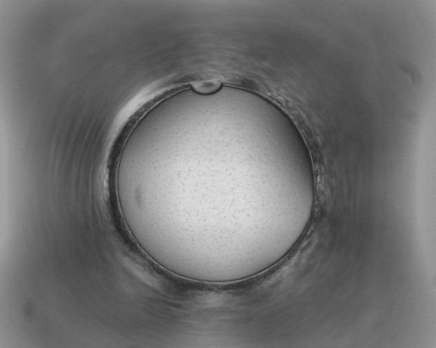 X0000115040246200911091411