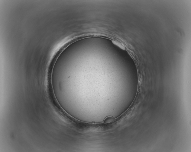 X0000115040248200911091411