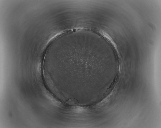 X0000115040249200911091411