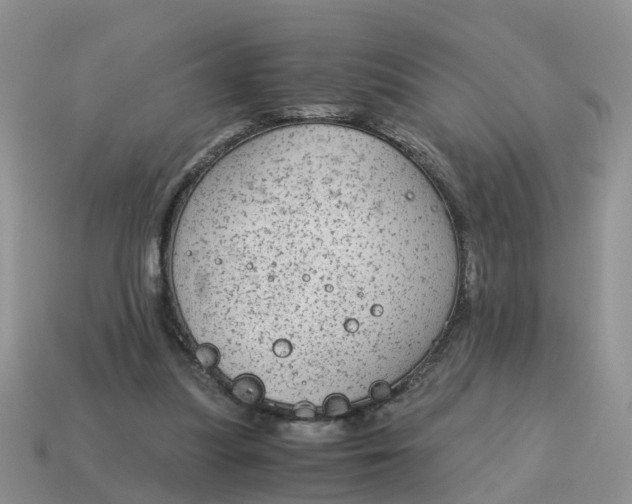 X0000115040251200911091411