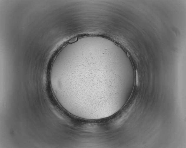 X0000115040252200911091411