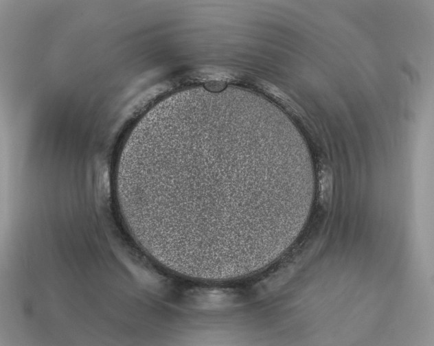 X0000115040254200911091411