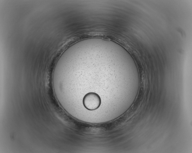 X0000115040255200911091411