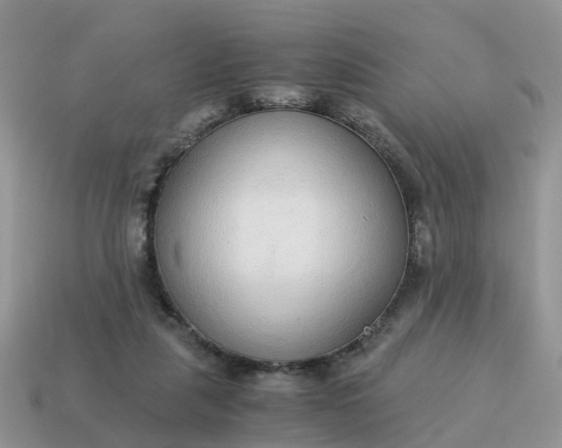 X0000115040259200911091411