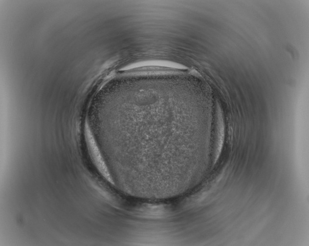 X0000115040260200911091411