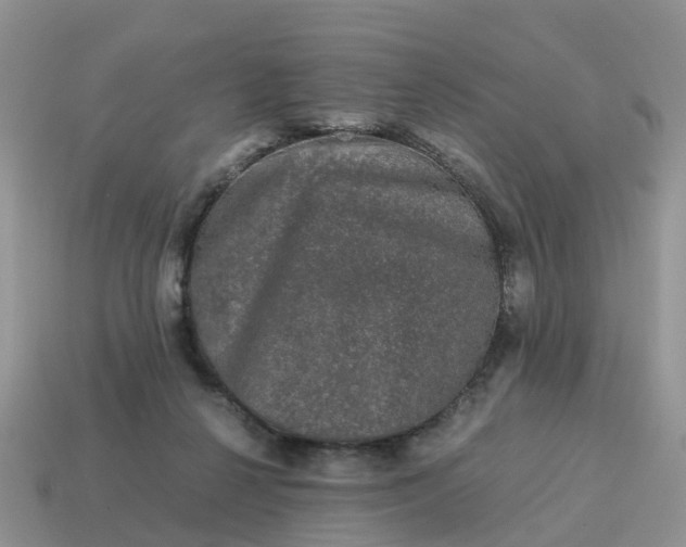 X0000115040264200911091411