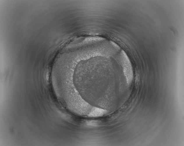 X0000115040268200911091411