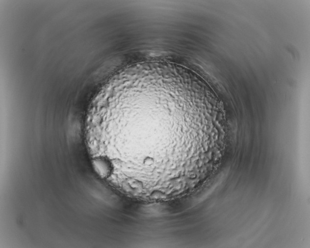 X0000115040269200911091411