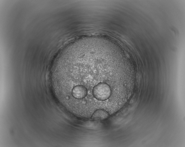 X0000115040270200911091411