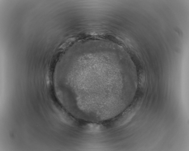 X0000115040272200911091411