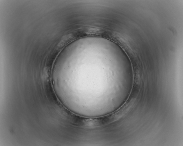 X0000115040273200911091411