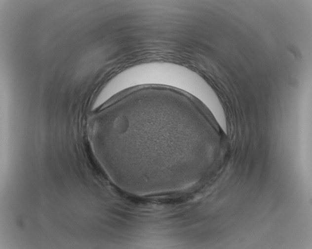 X0000115040276200911091411