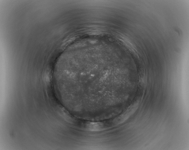 X0000115040277200911091411