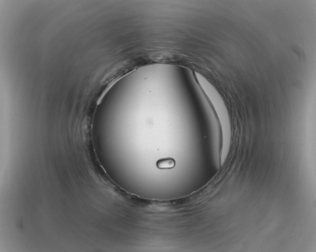 X0000115040280200911091411