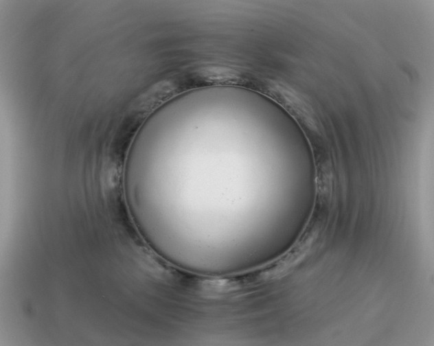 X0000115040281200911091411