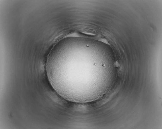 X0000115040282200911091411