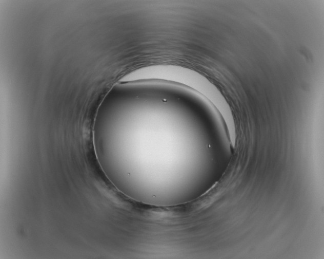 X0000115040284200911091411