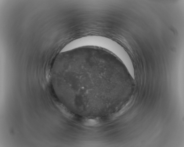 X0000115040285200911091411