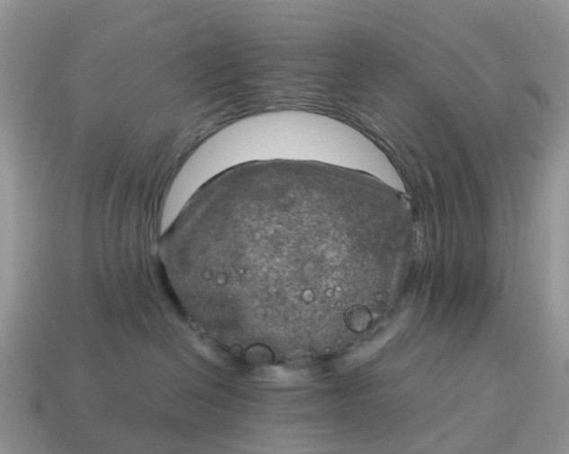 X0000115040286200911091411