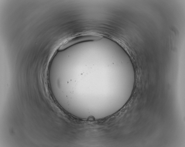 X0000115040289200911091410