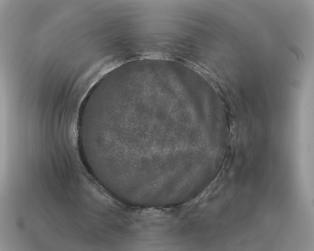 X0000115040290200911091410