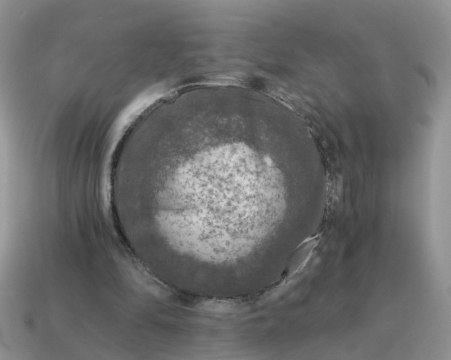 X0000115040294200911091410