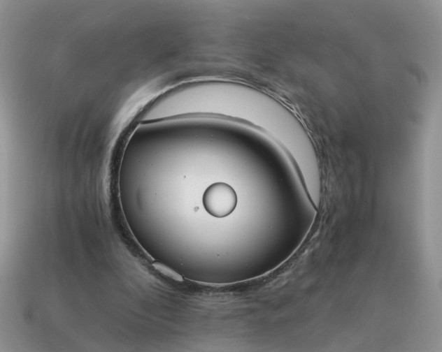 X0000115040296200911091410