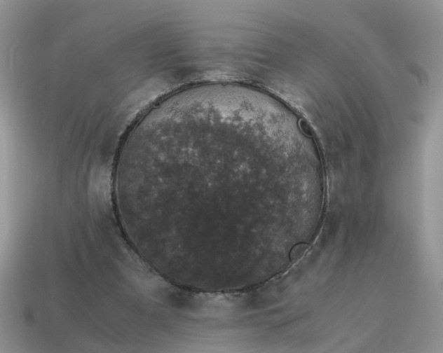 X0000115040297200911091410