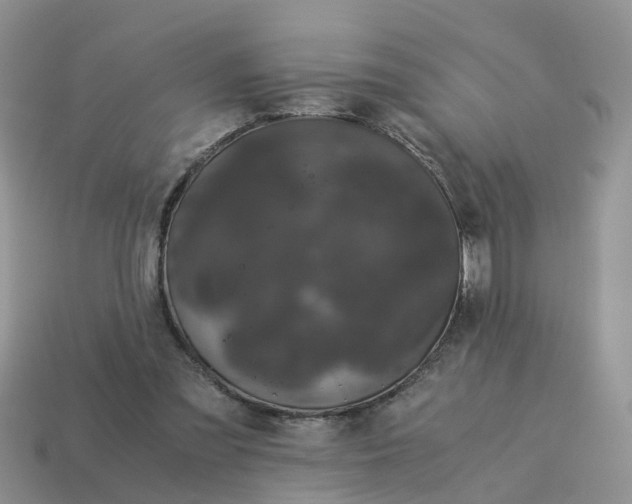 X0000115040301200911091410