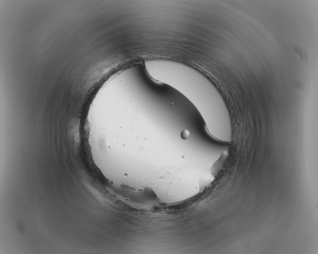 X0000115040302200911091410