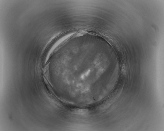 X0000115040304200911091410