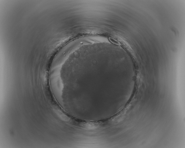 X0000115040305200911091410
