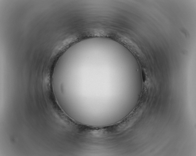 X0000115040306200911091410