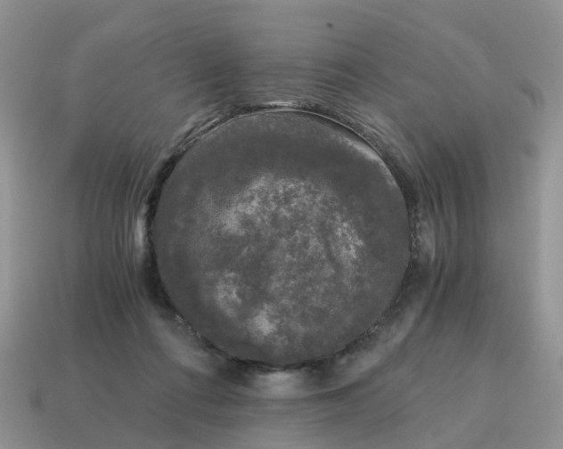 X0000115040312200911091410