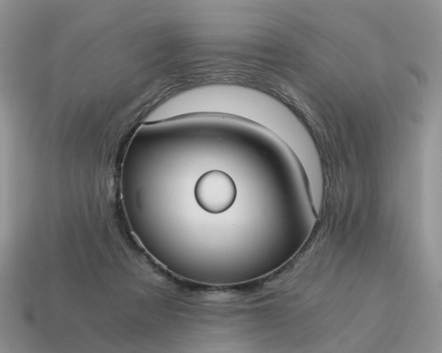 X0000115040313200911091410